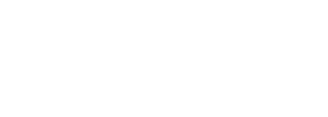 GTParis_Scholarship Logo_white_50pct